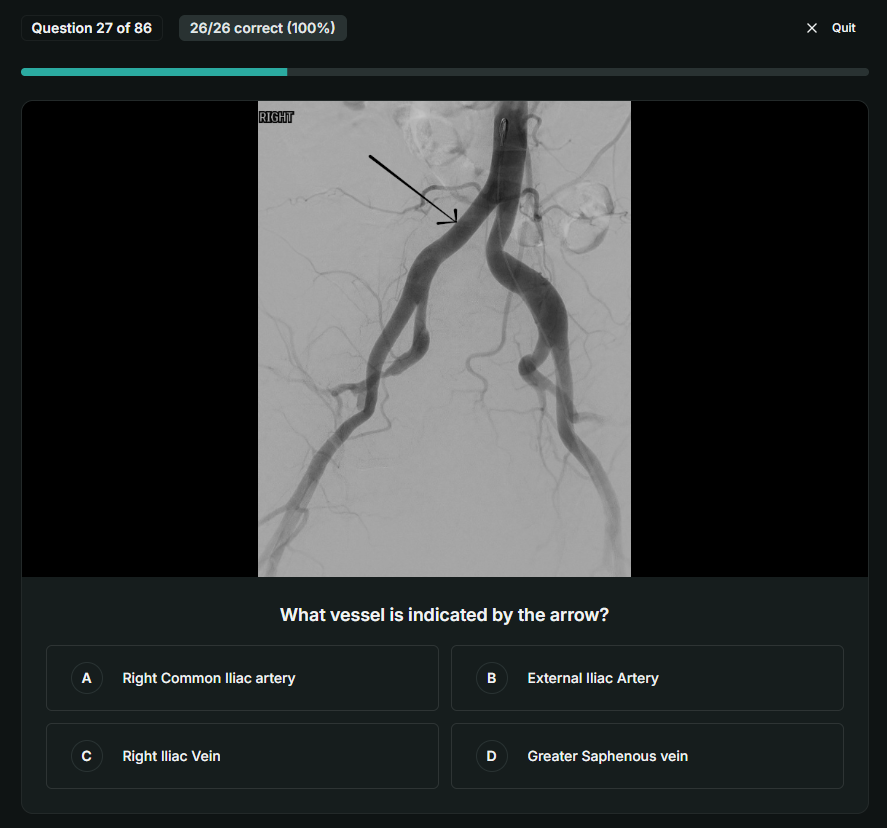 Anatomy Challenge — identify the vessel indicated by the arrow